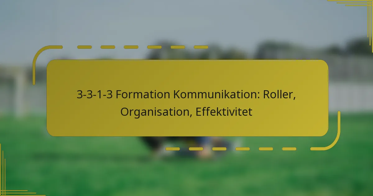 3-3-1-3 Formation Kommunikation: Roller, Organisation, Effektivitet