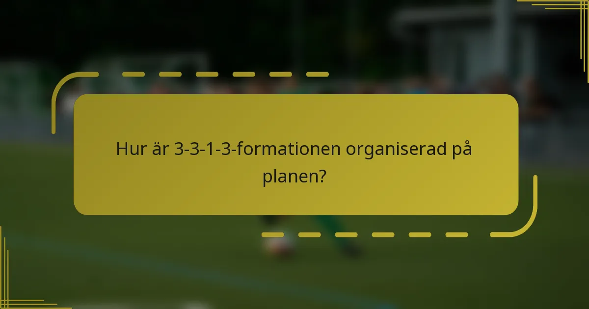 Hur är 3-3-1-3-formationen organiserad på planen?