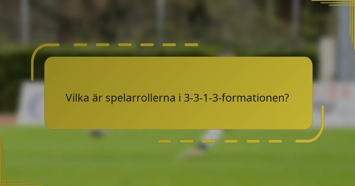 Vilka är spelarrollerna i 3-3-1-3-formationen?